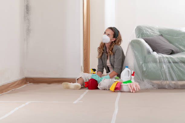 Reliable Mold Remediation contractor in Altamahaw, NC by WQB Mold Removal
